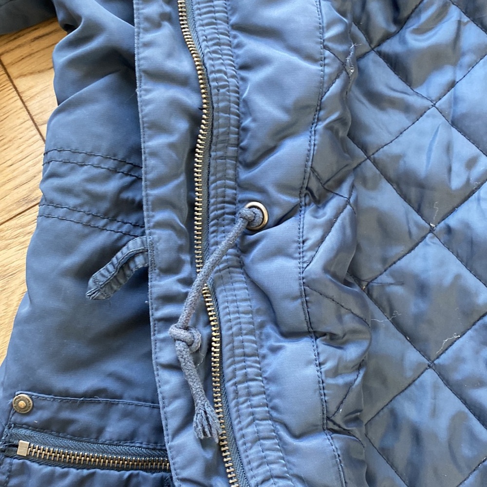 Blue Puffer - image 7